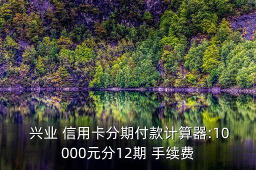  興業(yè) 信用卡分期付款計(jì)算器:10000元分12期 手續(xù)費(fèi)