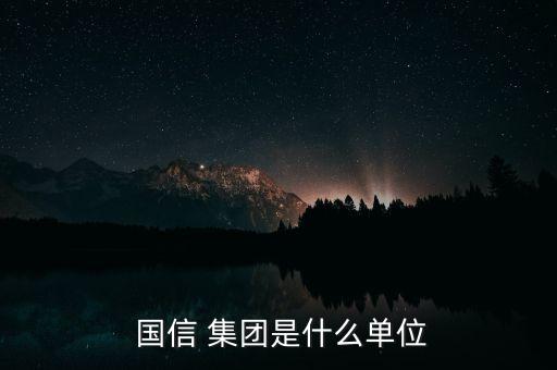  國信 集團(tuán)是什么單位