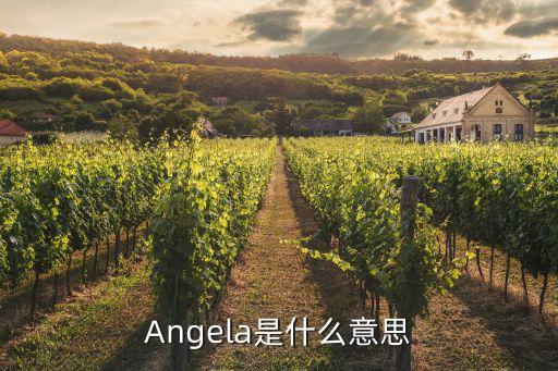 Angela是什么意思