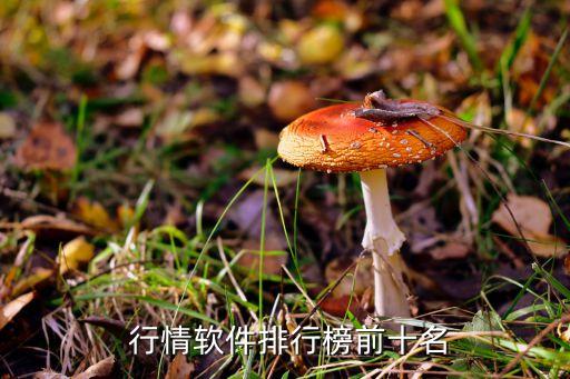 同花順珠江鋼琴股票行情,600360股票行情同花順