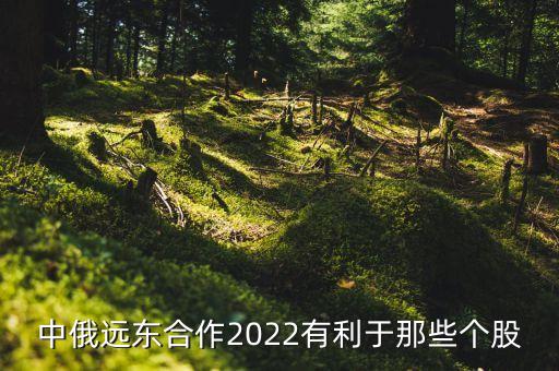 中俄遠(yuǎn)東合作2022有利于那些個(gè)股