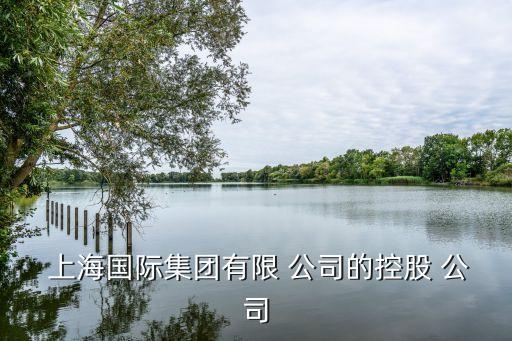 上海君溪資產是什么樣的公司,資產1000萬在上海是什么水平