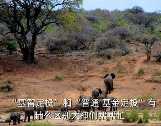 “基智定投”和“普通 基金定投”有什么區(qū)別大神們幫幫忙