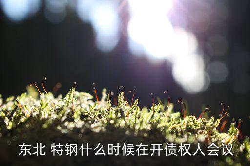  東北 特鋼什么時(shí)候在開債權(quán)人會議