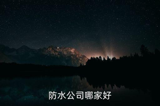 德聯(lián)集團公司概況,步步高集團公司概況