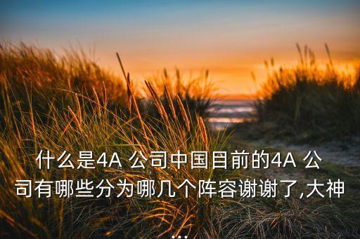 什么是4A 公司中國目前的4A 公司有哪些分為哪幾個(gè)陣容謝謝了,大神...