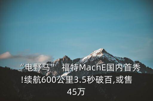 “電野馬” 福特MachE國內首秀!續(xù)航600公里3.5秒破百,或售45萬