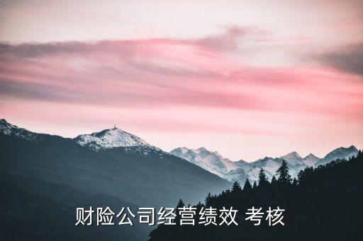 財(cái)險(xiǎn)公司經(jīng)營績效 考核