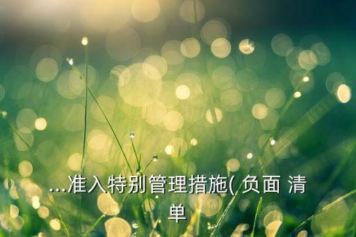 上海行業(yè)負面清單,負面清單行業(yè)是什么意思