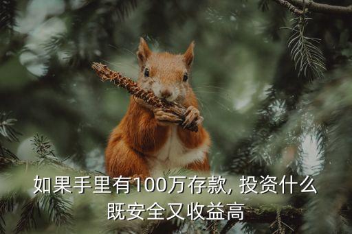 如果手里有100萬存款, 投資什么既安全又收益高