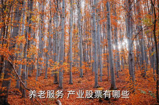 養(yǎng)老服務 產(chǎn)業(yè)股票有哪些