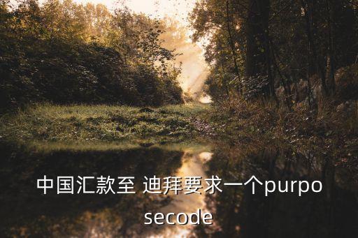 中國匯款至 迪拜要求一個purposecode