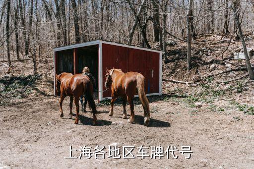  上海各地區(qū)車牌代號(hào)