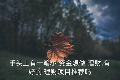 手頭上有一筆小 資金想做 理財,有好的 理財項目推薦嗎