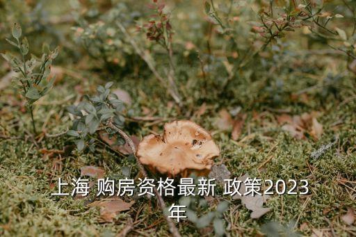  上海 購(gòu)房資格最新 政策2023年