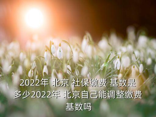 2022年 北京 社保繳費(fèi) 基數(shù)是多少2022年 北京自己能調(diào)整繳費(fèi) 基數(shù)嗎