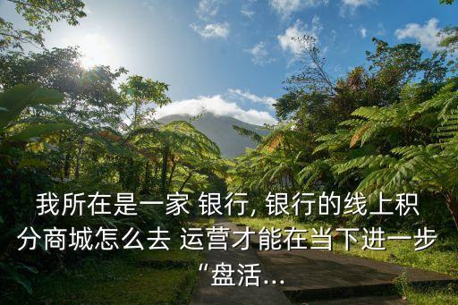 我所在是一家 銀行, 銀行的線上積分商城怎么去 運營才能在當下進一步“盤活...