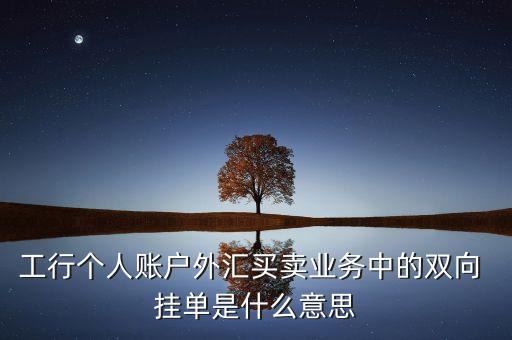 工行個(gè)人賬戶外匯買賣業(yè)務(wù)中的雙向 掛單是什么意思