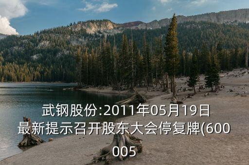  武鋼股份:2011年05月19日最新提示召開股東大會(huì)停復(fù)牌(600005