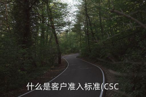 什么是客戶準入標準(CSC