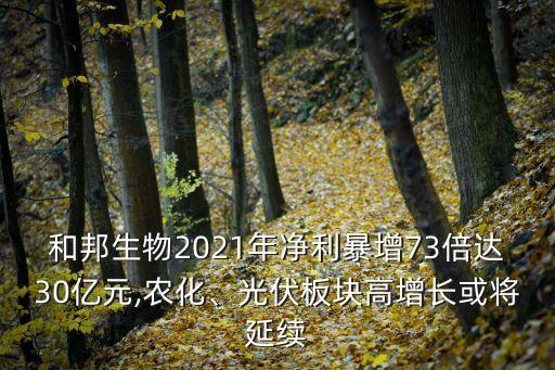 和邦生物2021年凈利暴增73倍達(dá)30億元,農(nóng)化、光伏板塊高增長或?qū)⒀永m(xù)