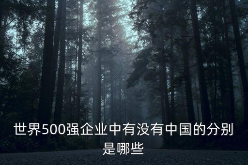 世界500強(qiáng)企業(yè)中有沒有中國的分別是哪些