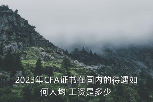 2023年CFA證書(shū)在國(guó)內(nèi)的待遇如何人均 工資是多少