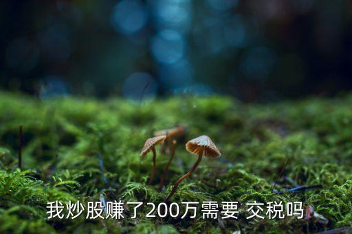 我炒股賺了200萬(wàn)需要 交稅嗎