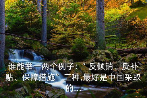 誰能舉一兩個例子:“ 反傾銷、反補貼、保障措施”三種,最好是中國采取的...