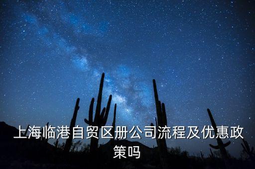  上海臨港自貿(mào)區(qū)冊(cè)公司流程及優(yōu)惠政策嗎