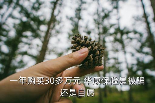 一年購買30多萬元 華康保險是被騙還是自愿