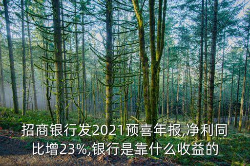 招商銀行發(fā)2021預(yù)喜年報,凈利同比增23%,銀行是靠什么收益的