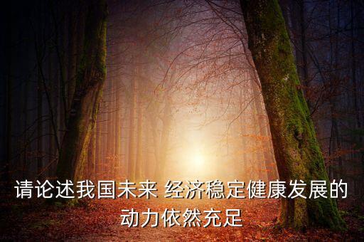 請論述我國未來 經(jīng)濟穩(wěn)定健康發(fā)展的動力依然充足