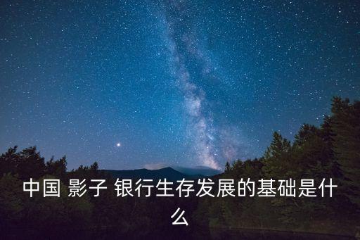 中國 影子 銀行生存發(fā)展的基礎是什么