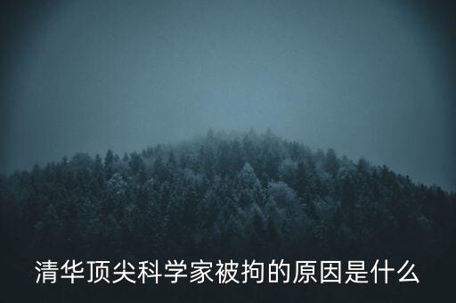 清華頂尖科學(xué)家被拘的原因是什么