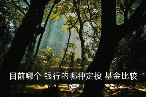 目前哪個(gè) 銀行的哪種定投 基金比較好