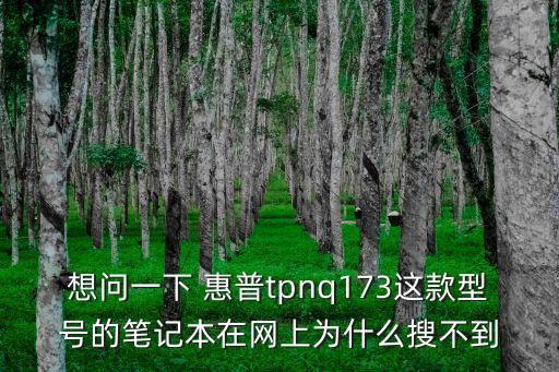 想問一下 惠普tpnq173這款型號的筆記本在網(wǎng)上為什么搜不到