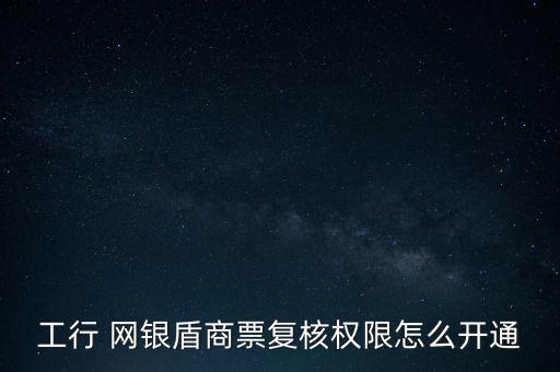 工行 網(wǎng)銀盾商票復核權限怎么開通