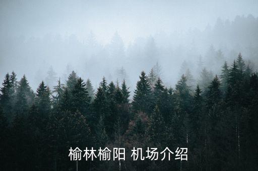 榆林榆陽(yáng) 機(jī)場(chǎng)介紹