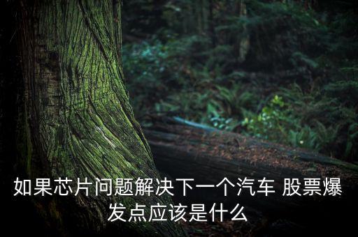 如果芯片問題解決下一個汽車 股票爆發(fā)點應(yīng)該是什么