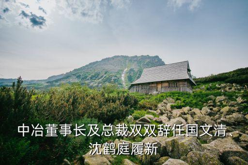  中冶董事長(zhǎng)及總裁雙雙辭任國(guó)文清、沈鶴庭履新