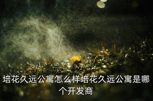 培花久遠(yuǎn)公寓怎么樣培花久遠(yuǎn)公寓是哪個(gè)開發(fā)商