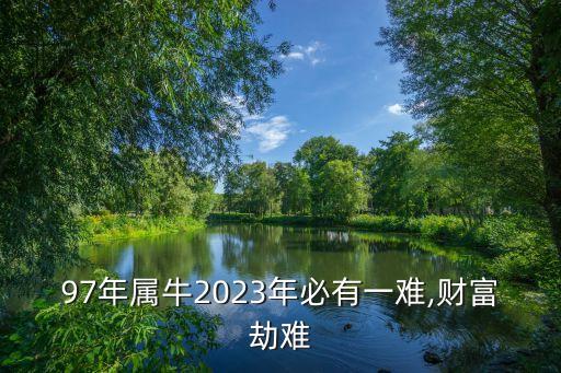 97年屬牛2023年必有一難,財(cái)富劫難