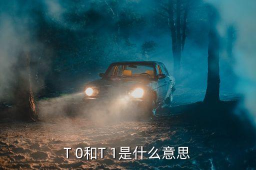 T 0和T 1是什么意思