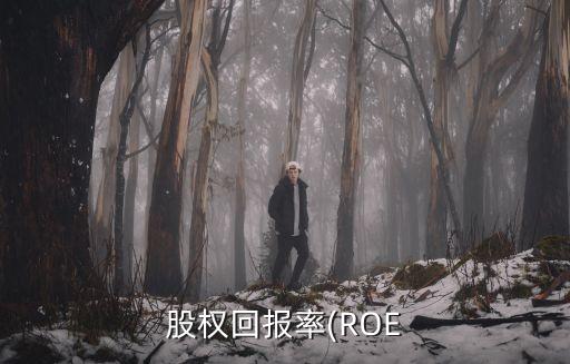 股權回報率(ROE