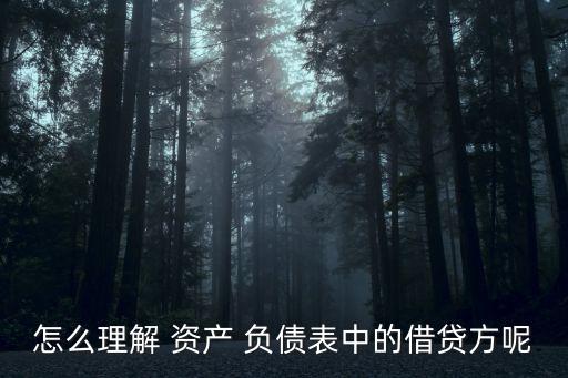 怎么理解 資產(chǎn) 負債表中的借貸方呢