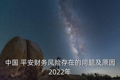 中國(guó) 平安財(cái)務(wù)風(fēng)險(xiǎn)存在的問(wèn)題及原因2022年