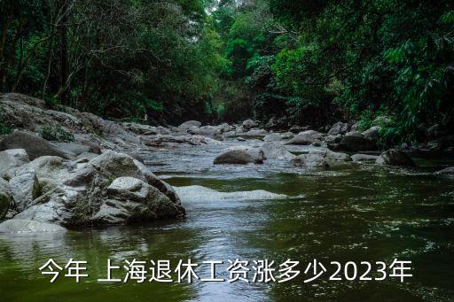 今年 上海退休工資漲多少2023年