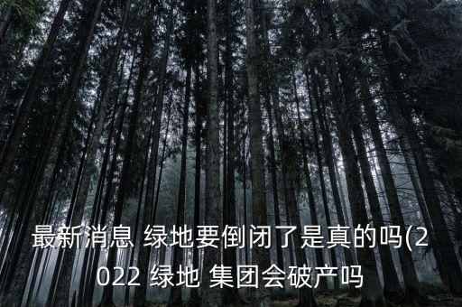 最新消息 綠地要倒閉了是真的嗎(2022 綠地 集團(tuán)會(huì)破產(chǎn)嗎