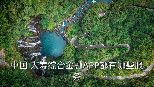 中國 人壽綜合金融APP都有哪些服務(wù)